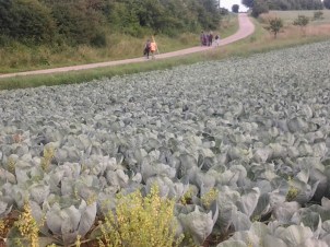 ambulatorische Performance 30613 KS (2)